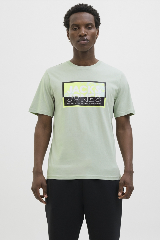 JCOLOGAN SUMMER PRINT TEE CREW NECK 12283825 AQUA GREY